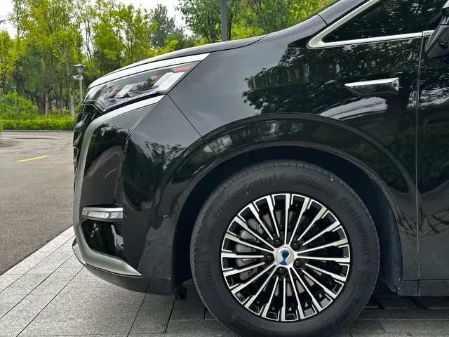 Denza D9 — Фото автомобиля 4