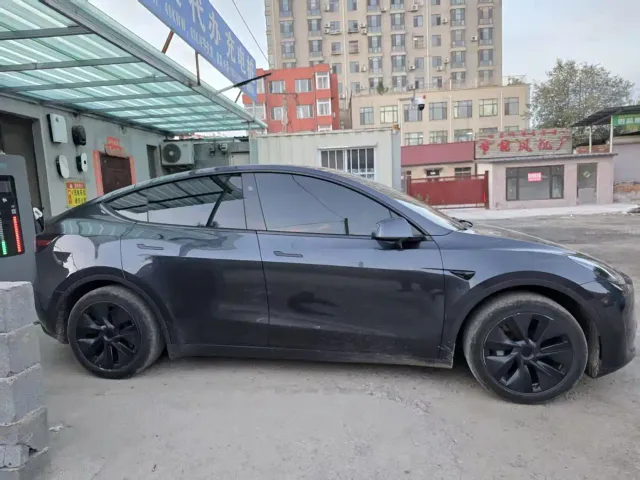 Tesla Model Y — Фото автомобиля 2
