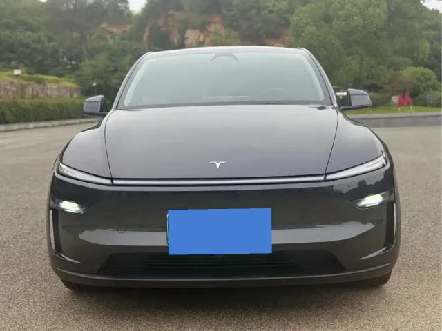 Tesla Model Y — Фото автомобиля 3