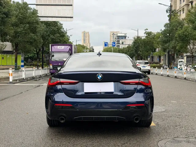 BMW 4 Series — Фото автомобиля 18