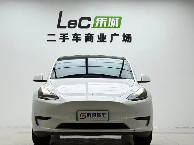 Tesla Model Y — Фото автомобиля 2