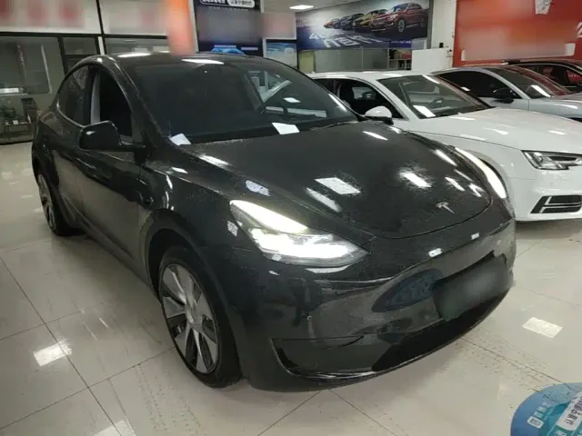 Tesla Model Y — Фото автомобиля 3