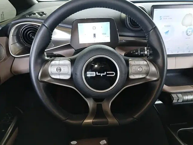 BYD Dolphin — Фото автомобиля 10