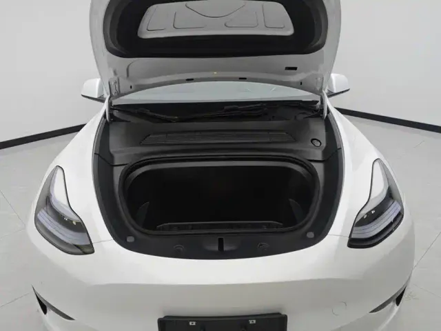 Tesla Model Y — Фото автомобиля 10