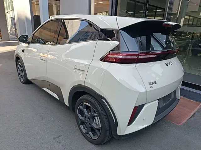BYD Seagull — Фото автомобиля 4