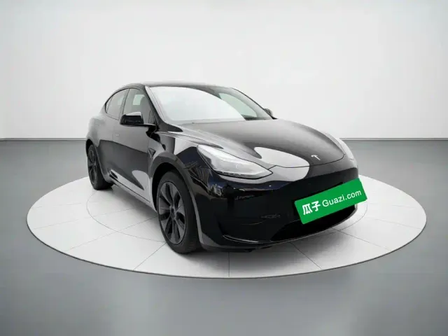 Tesla Model Y — Фото автомобиля 3