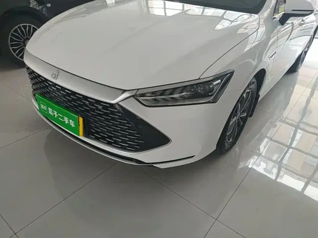 BYD Qin PLUS — Фото автомобиля 23