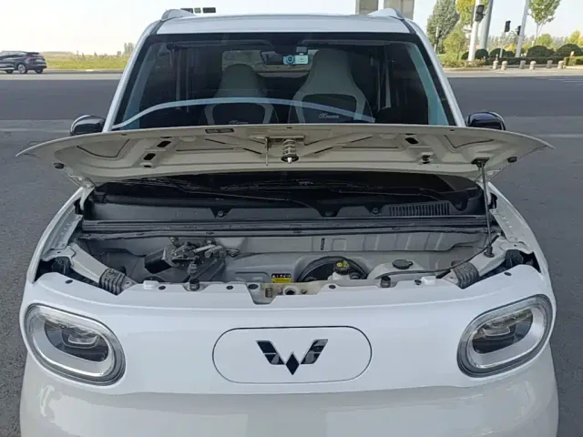 Wuling Hongguang Mini EV — Фото автомобиля 19
