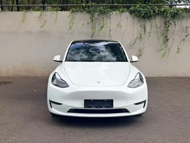 Tesla Model Y — Фото автомобиля 5