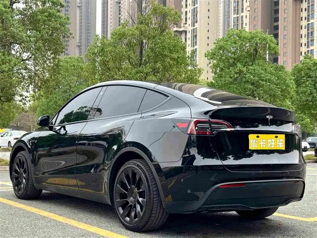 Tesla Model Y — Фото автомобиля 4