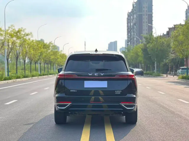 Wey Lanshan — Фото автомобиля 8