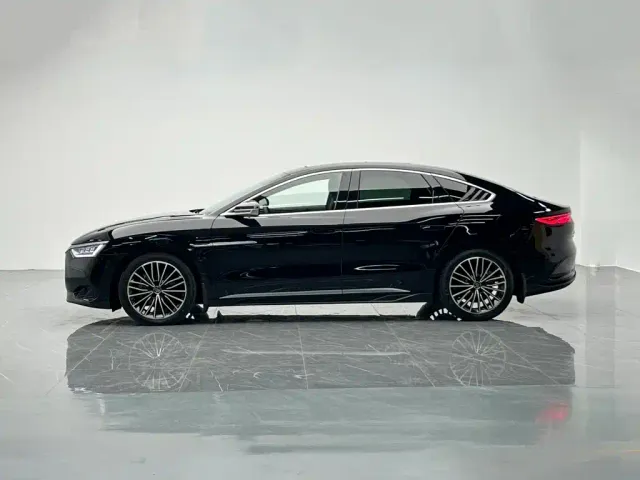 BYD Han 2022 DM-i 121KM Premium Edition — Фото автомобиля 3