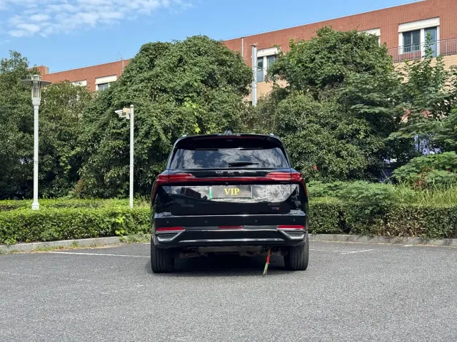 Wey Lanshan — Фото автомобиля 6