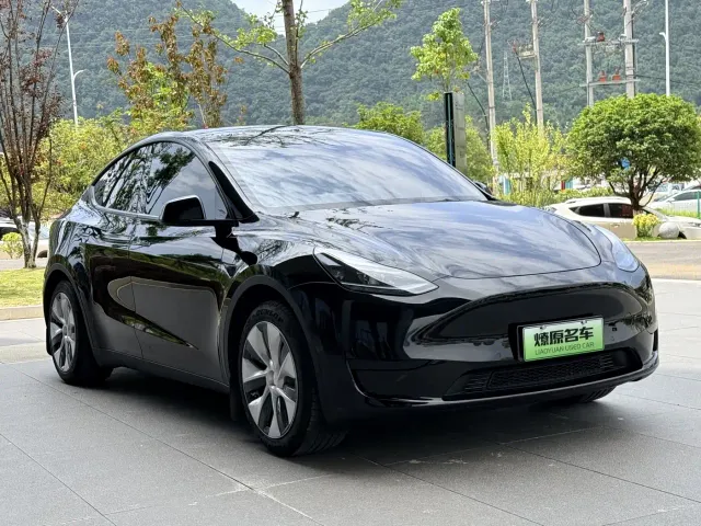 Tesla Model Y — Фото автомобиля 3