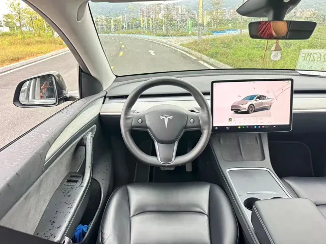Tesla Model Y — Фото автомобиля 16