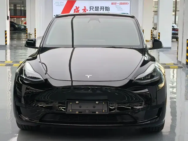 Tesla Model Y — Фото автомобиля 2