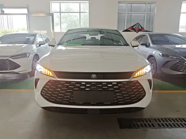 BYD Qin PLUS — Фото автомобиля 2