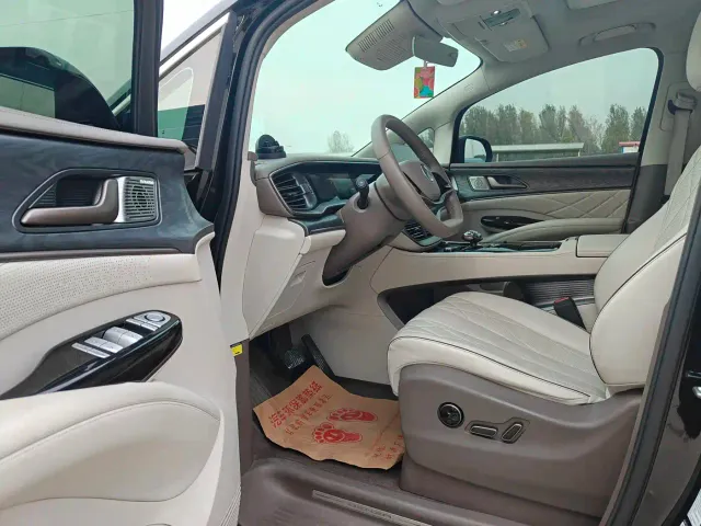 Denza Denza D9 2022 DM-i 1040 Premium — Фото автомобиля 8