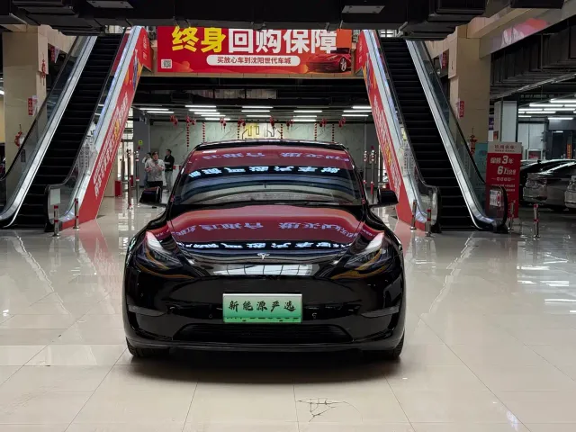 Tesla Model Y — Фото автомобиля 2
