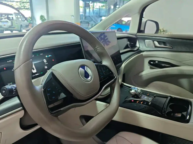 Denza D9 — Фото автомобиля 5