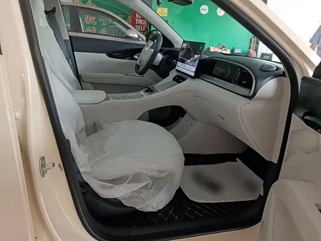 Geely Starry Wish — Фото автомобиля 24