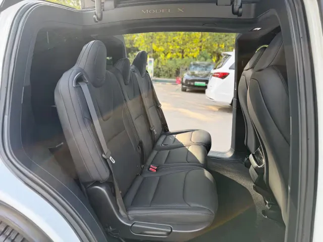 Tesla Model X — Фото автомобиля 14
