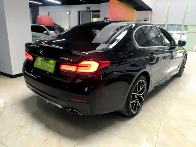 BMW 5 Series — Фото автомобиля 6