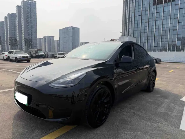 Tesla Model Y — Фото автомобиля 3