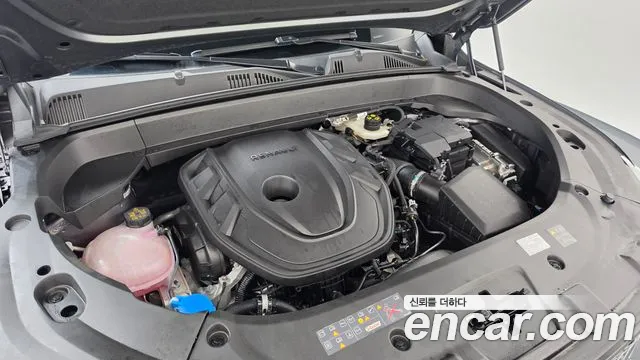 Renault-KoreaSamsung Grand Koleos Grand Koleos 2.0 Esprit Alpine 4WD — Фото автомобиля 6