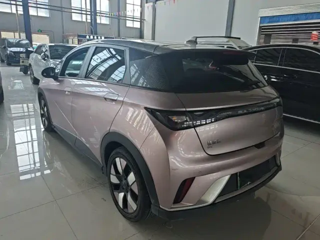 BYD Dolphin — Фото автомобиля 4