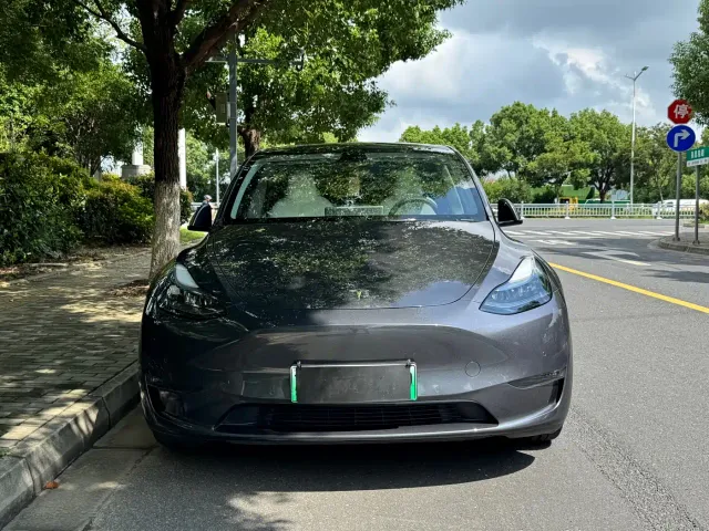 Tesla Model Y — Фото автомобиля 2