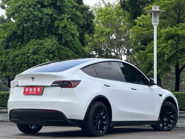 Tesla Model Y — Фото автомобиля 4