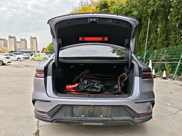 BYD Han — Фото автомобиля 18