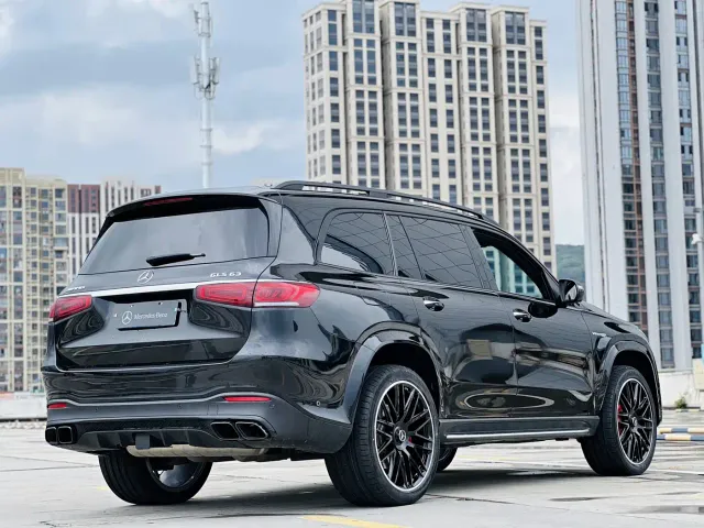 Mercedes-Benz GLS AMG — Фото автомобиля 13