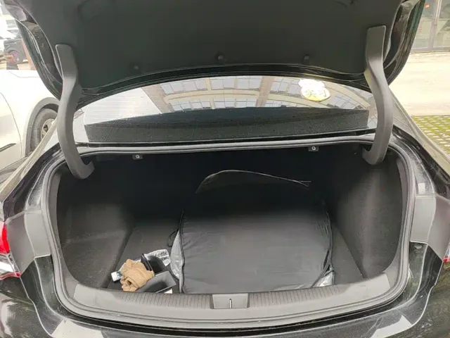 Buick Regal — Фото автомобиля 18