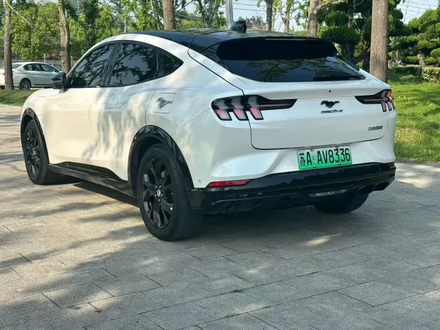 Ford Mustang Mach-E — Фото автомобиля 6