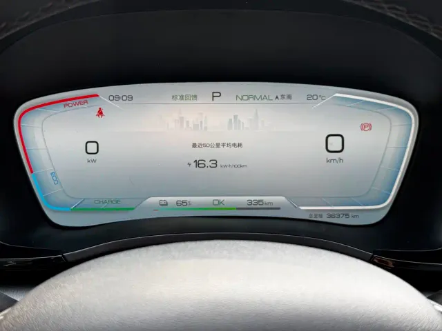 BYD Song PLUS — Фото автомобиля 18