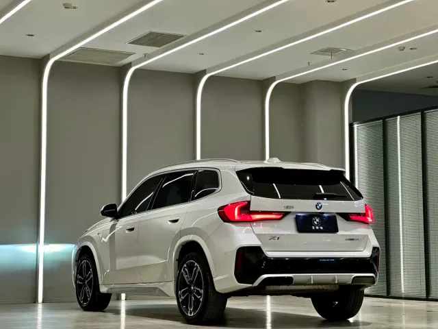 BMW X1 — Фото автомобиля 10