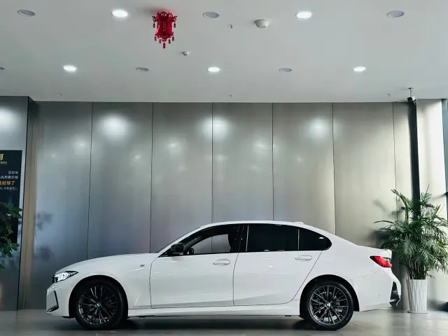 BMW 3 Series — Фото автомобиля 9