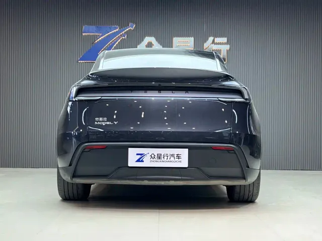 Tesla Model Y — Фото автомобиля 6