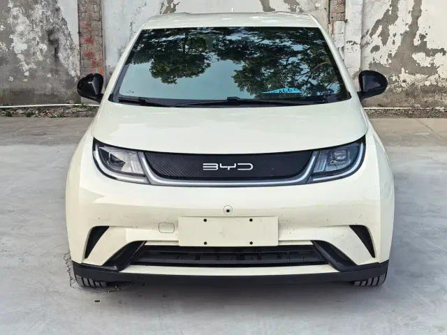 BYD Dolphin — Фото автомобиля 2