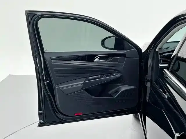 Volkswagen Passat — Фото автомобиля 29