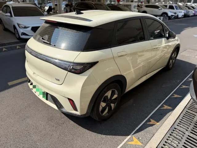 BYD Dolphin — Фото автомобиля 11