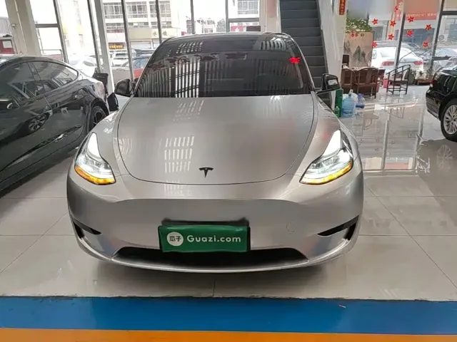 Tesla Model Y — Фото автомобиля 2