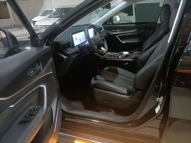 Venucia Venucia Big V 2022 260T Dark Horse Edition·Idol — Фото автомобиля 15