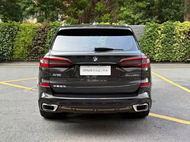 BMW BMW X5 2022 Model xDrive 40Li M Sport Package — Фото автомобиля 6