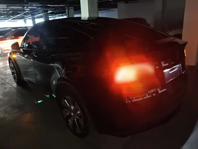Tesla Model Y — Фото автомобиля 4