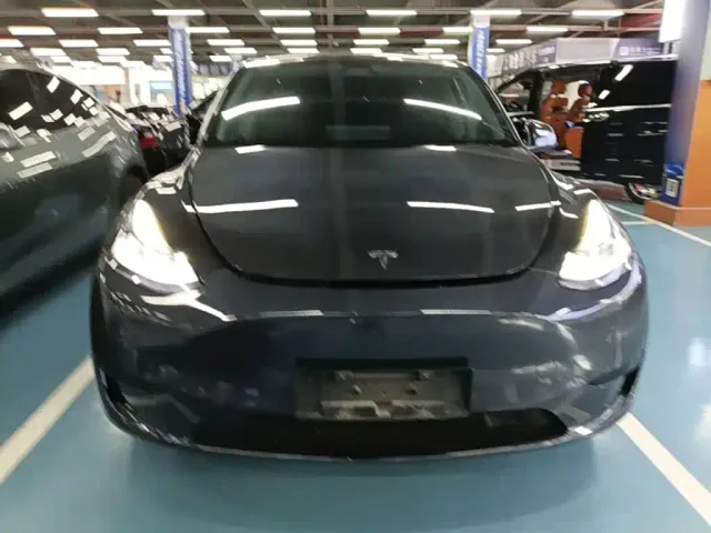 Tesla Model Y — Фото автомобиля 2