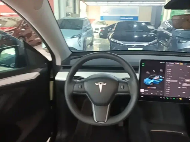Tesla Model Y — Фото автомобиля 10