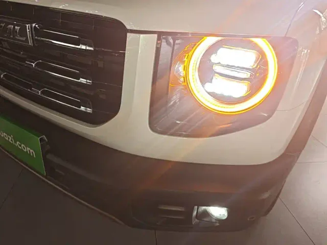 Haval Haval Big Dog 2021 1.5T DCT 2WD Border Collie Edition — Фото автомобиля 23
